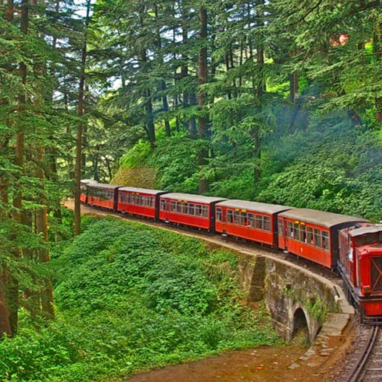 shimla holiday package